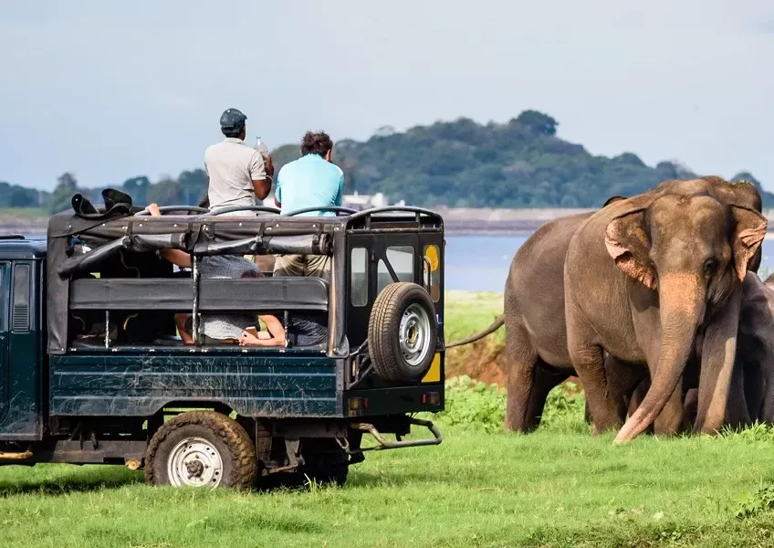  Yala National Park