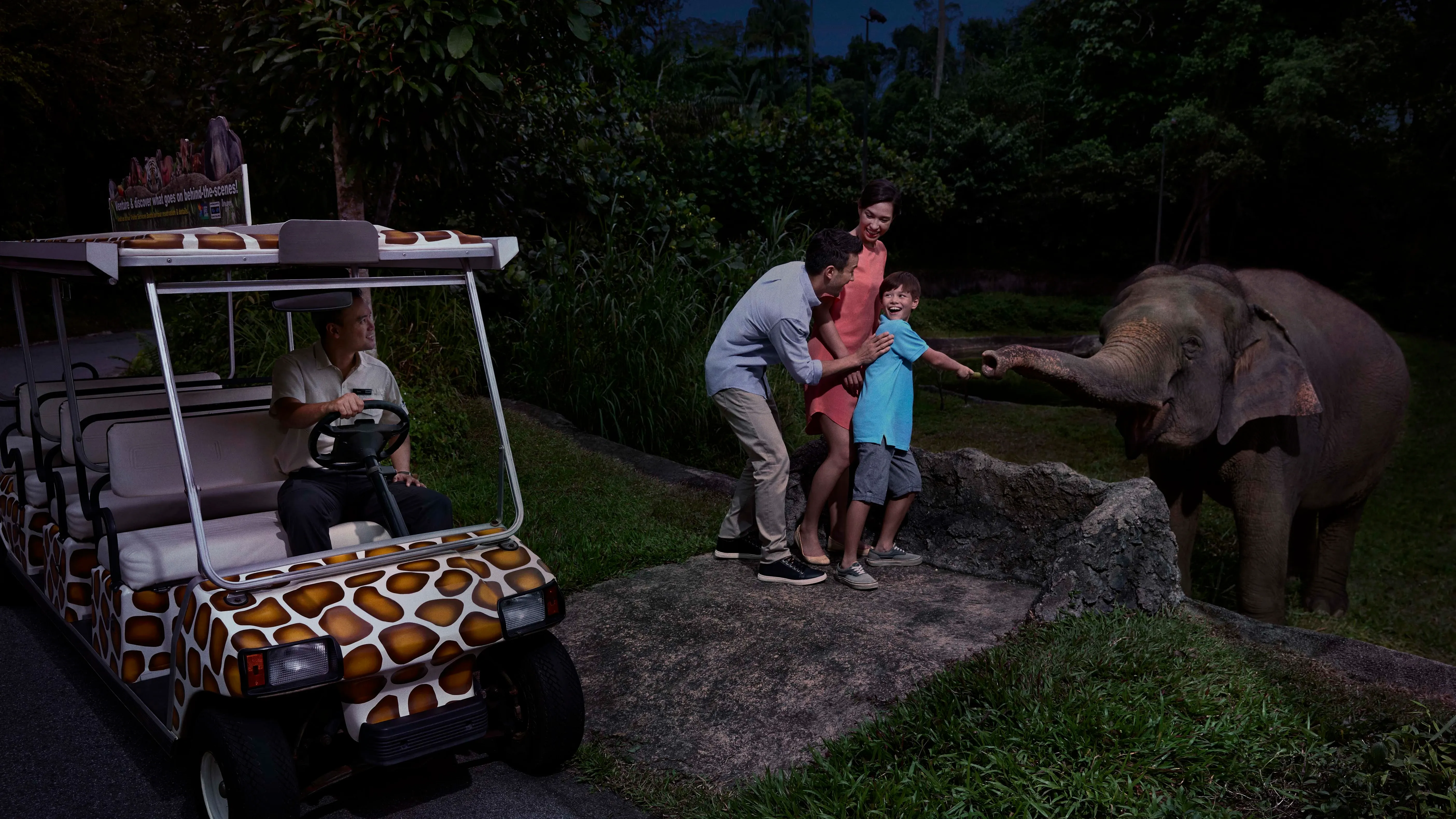 361ba0a0dff8a74ff076c2c16e108d60-SAT copy.webp