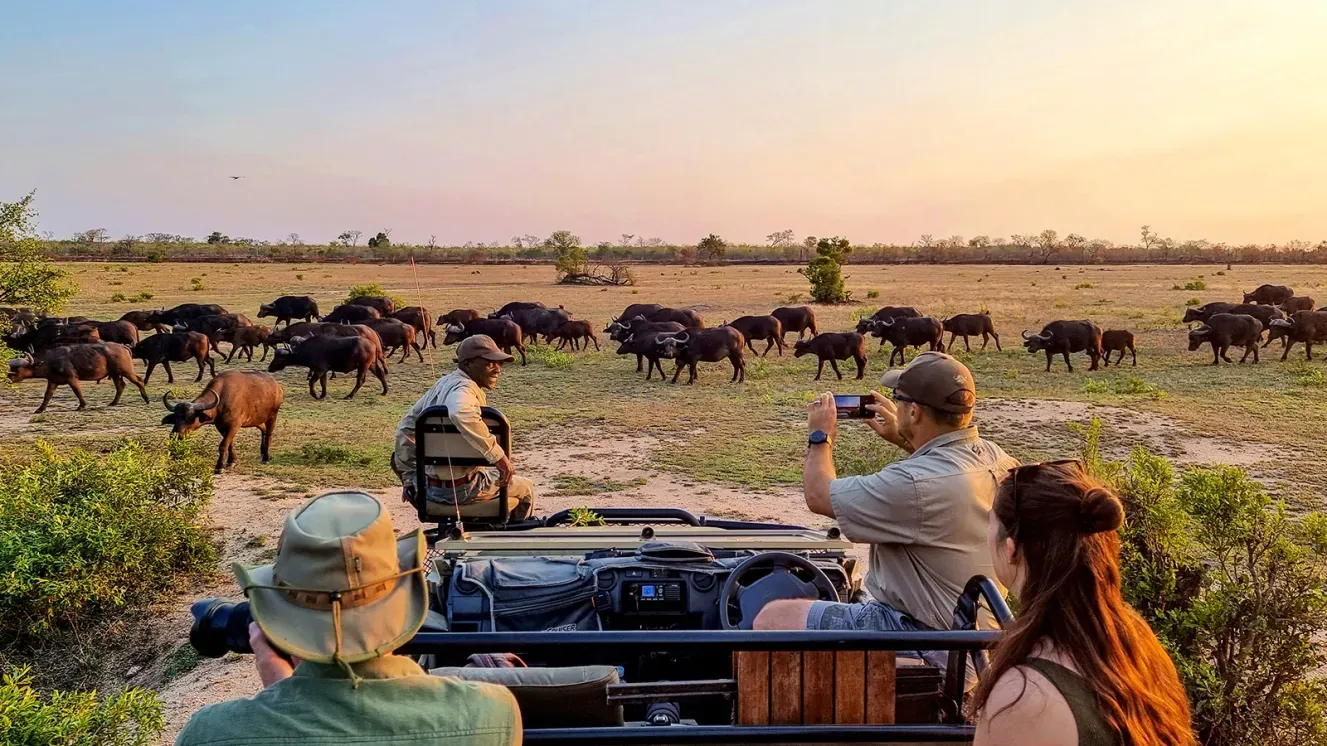  South Africa - Safari & Extreme Experiences