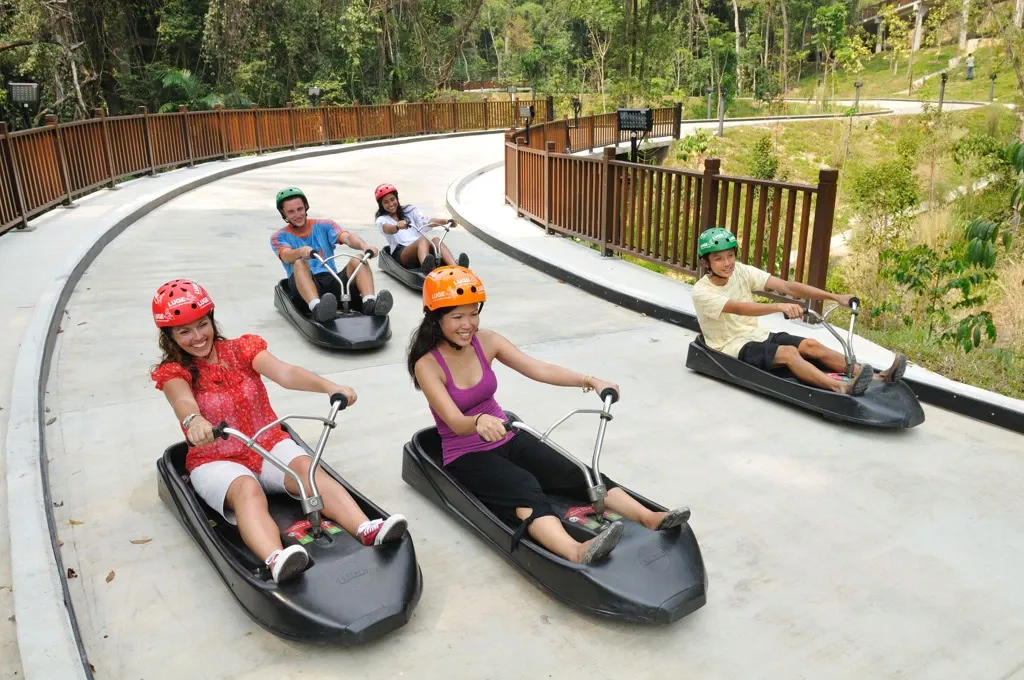 Enjoy the Skyline Luge on Sentosa