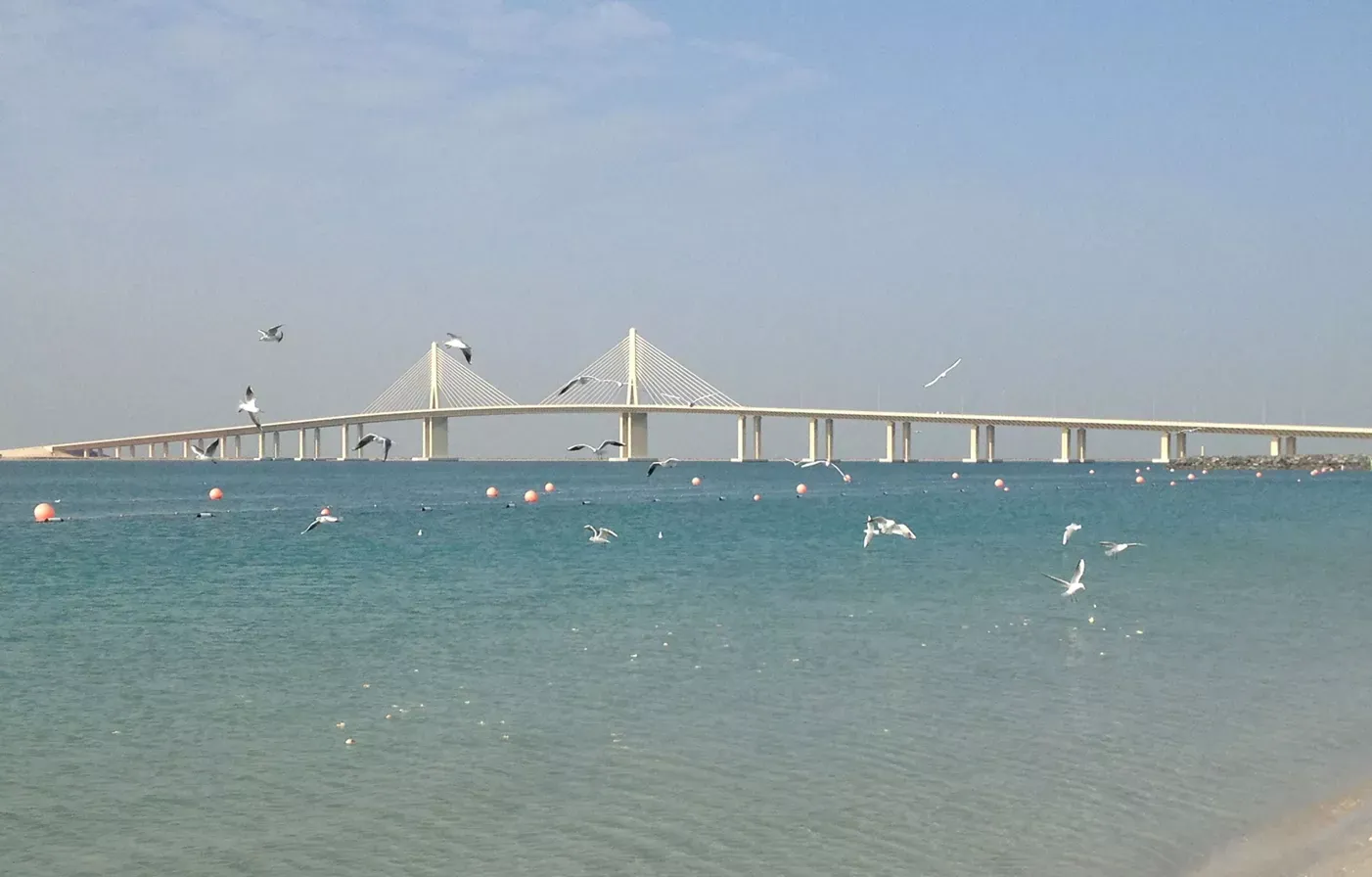  Al Bateen Beach -  2026