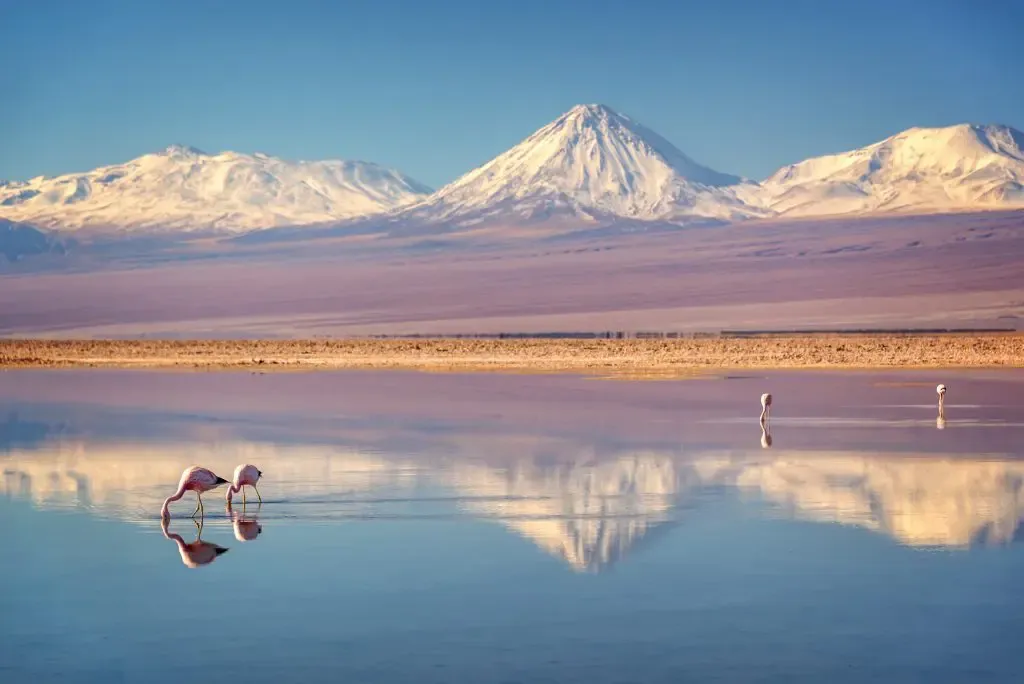 Atacama Desert