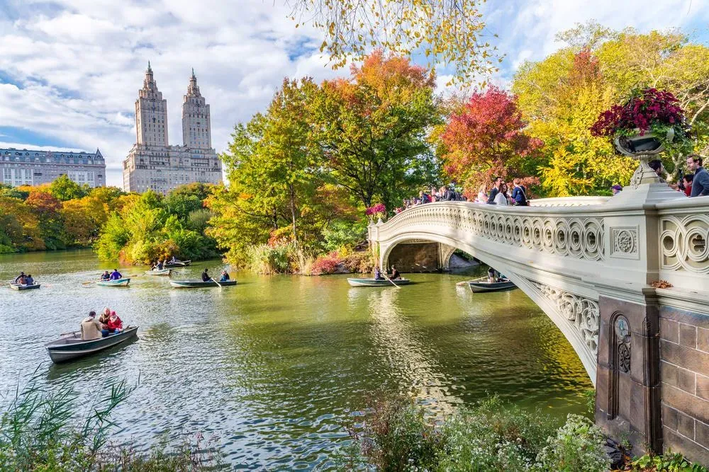 Best Things to Do in New York City