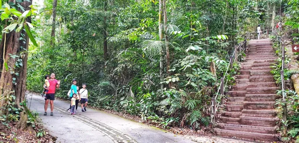 Bukit Timah