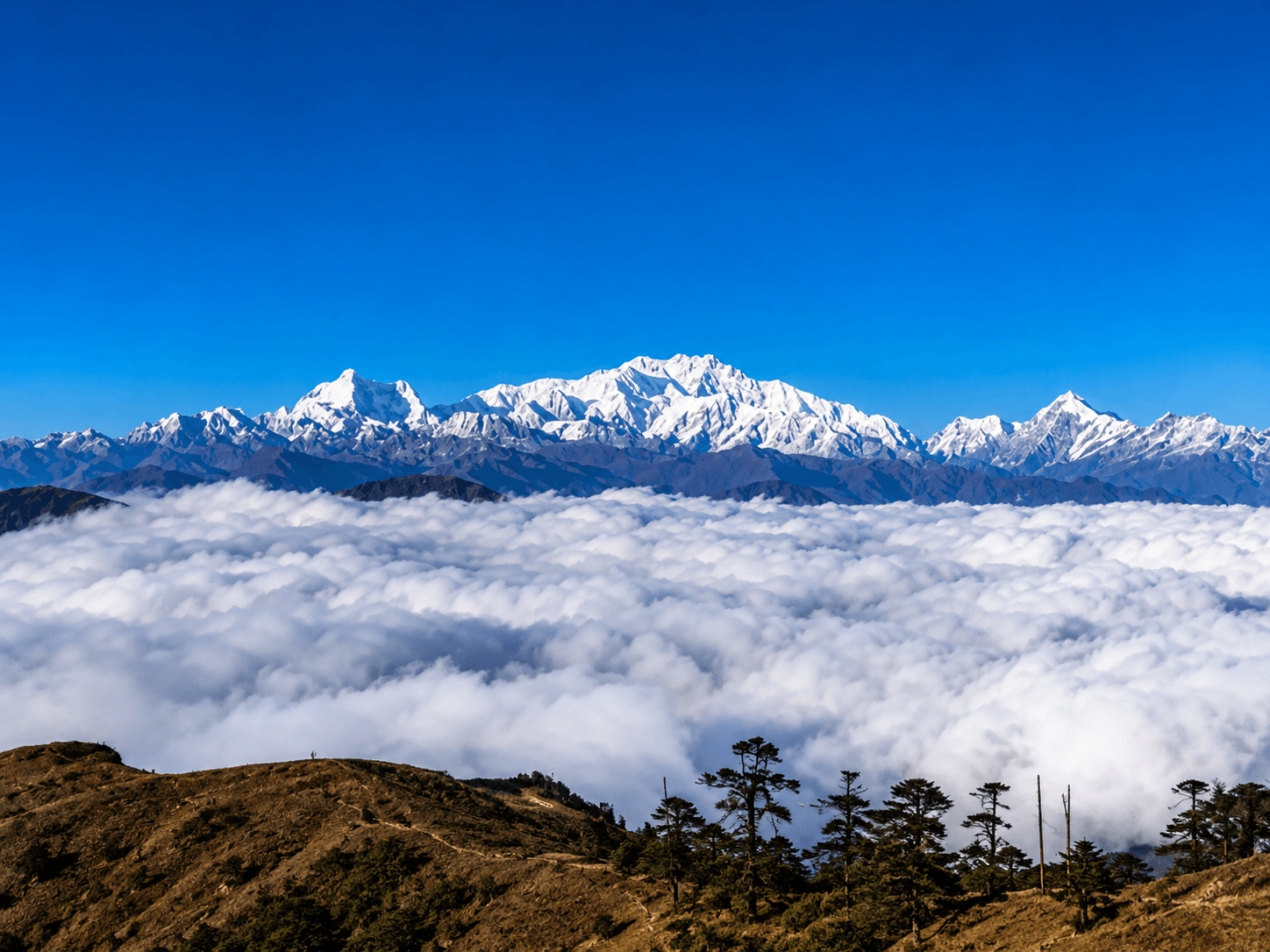 Sandakphu, West Bengal