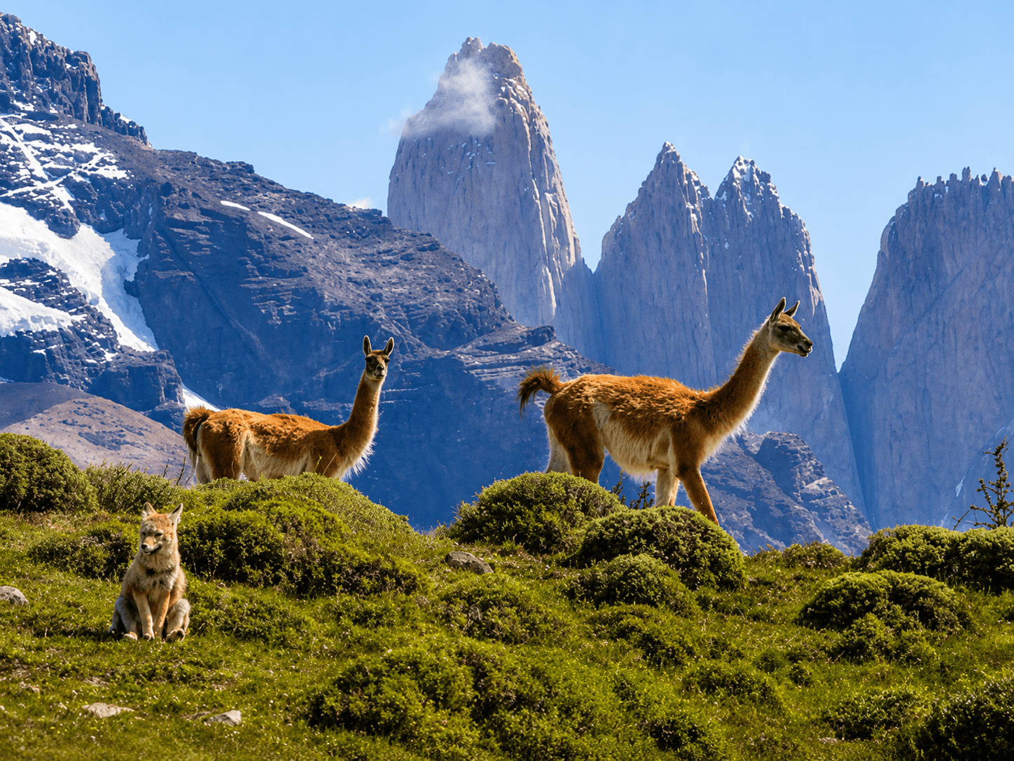 A 1,400km Bike Ride Through Patagonia Along the ‘End of the World’ Trail in 2026