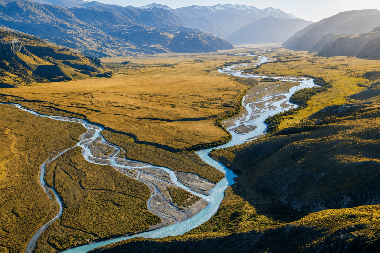 The Rewilding of Patagonia in 2026