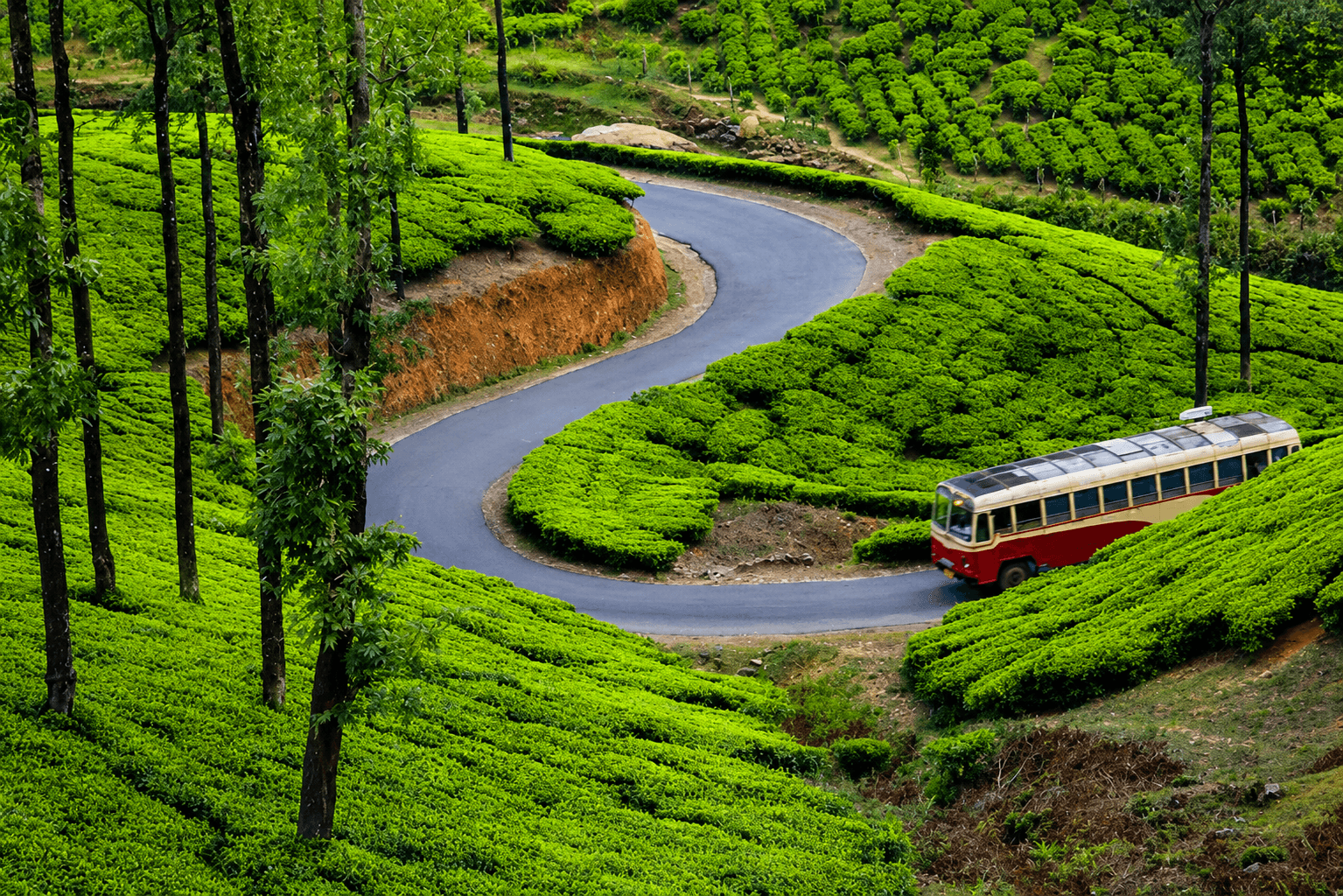 Munnar, Kerala 2026