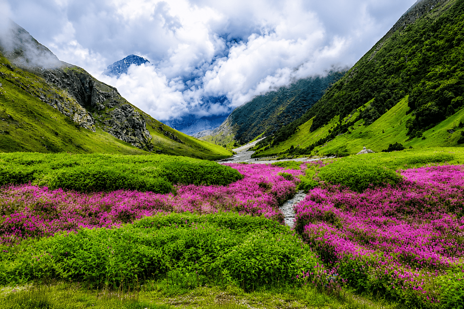 Valley of Flowers, Uttarakhand in monsoon 2026