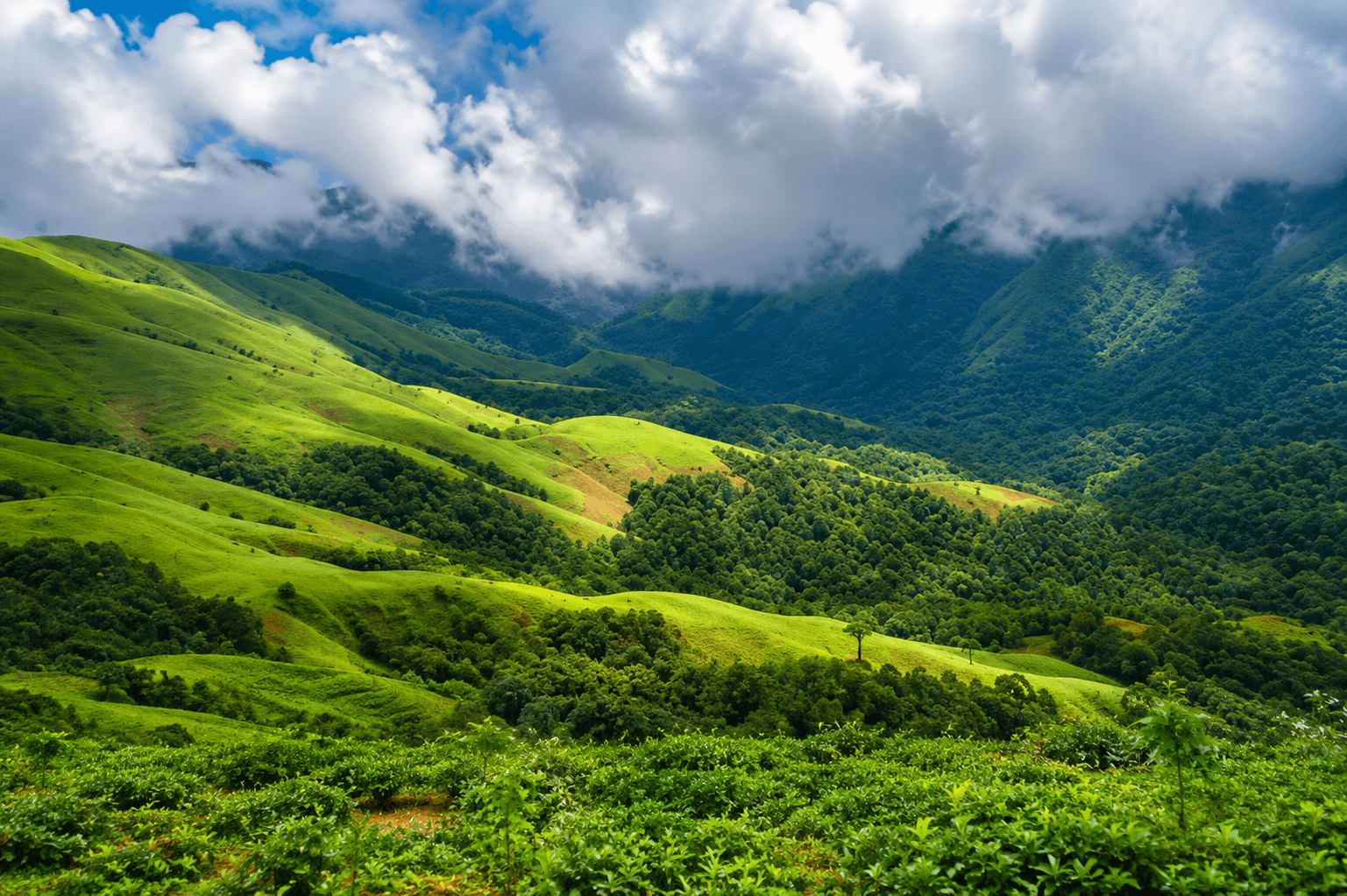 Chikmagalur, Karnataka in monsoon 2026