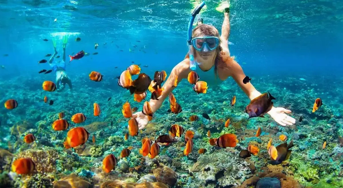 Con-Dao-snorkeling.webp