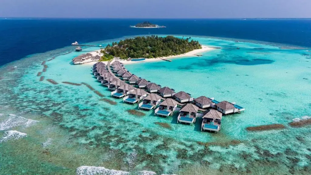 Dhigurah - Best for Whale Shark Experiences.webp