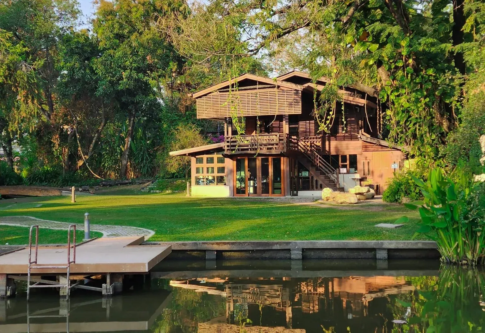 Early Owls, Chiang Mai
