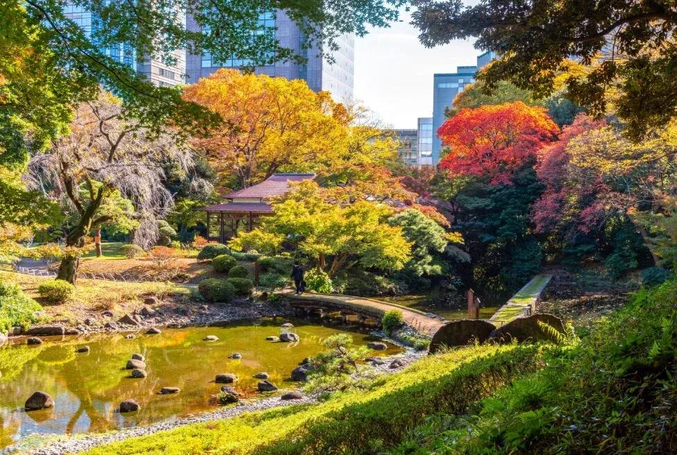 Explore Tokyo's Autumn Gardens.webp
