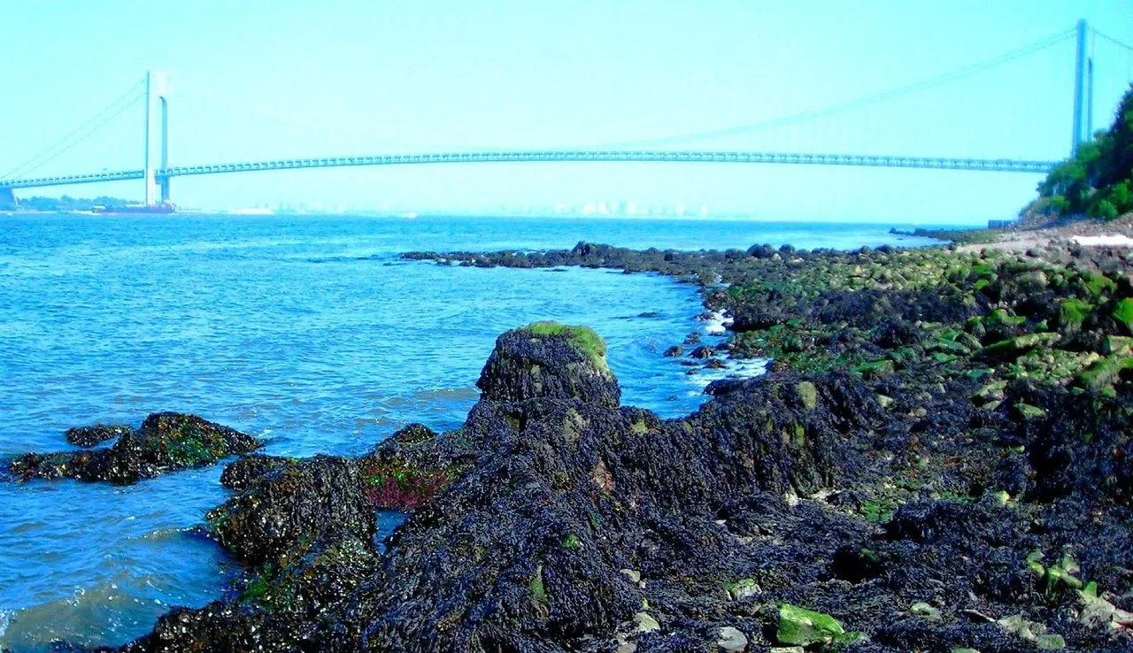 Great Kills new york