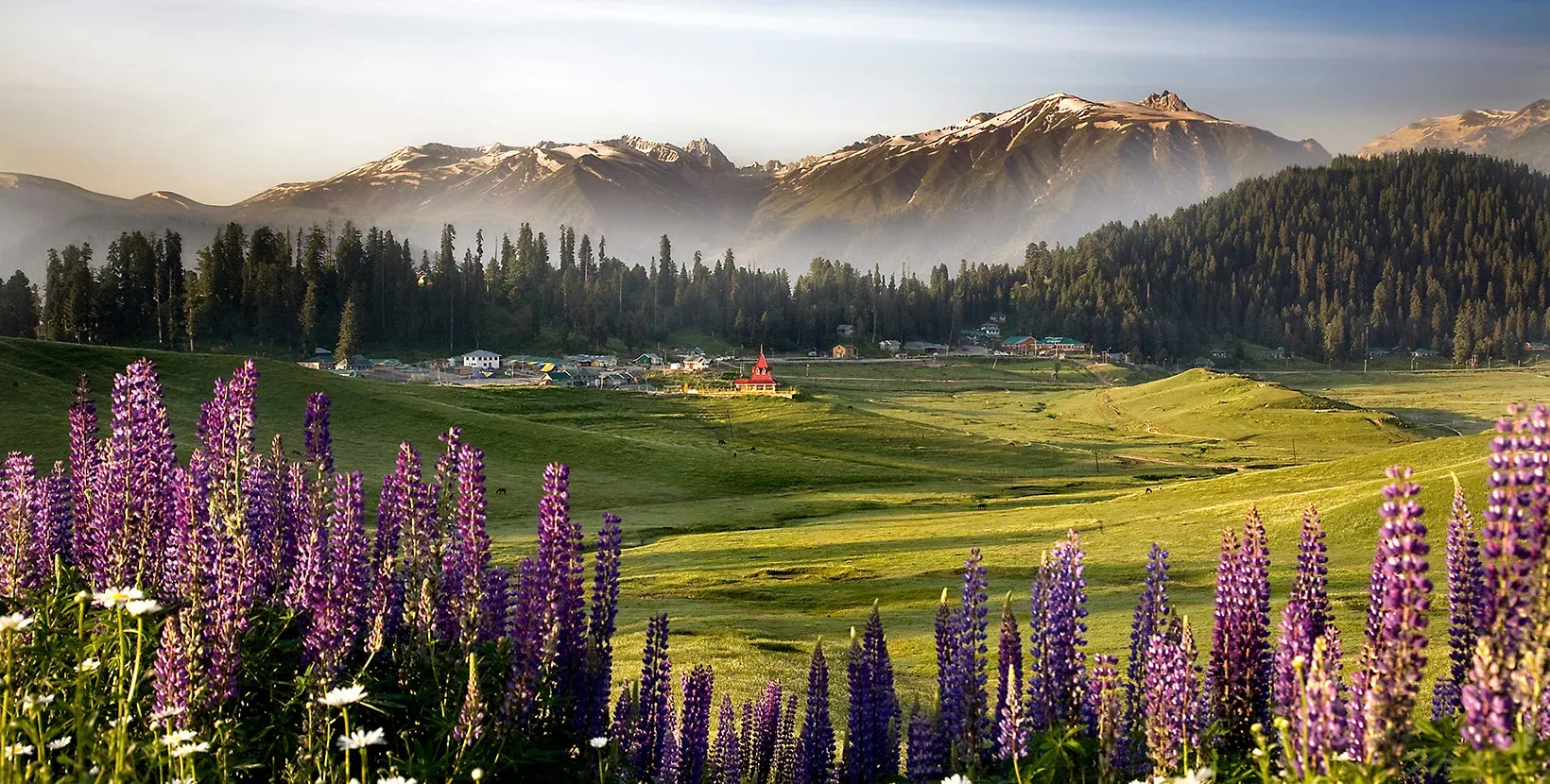 Gulmarg – Mountain Views and Outdoor Adventures.webp
