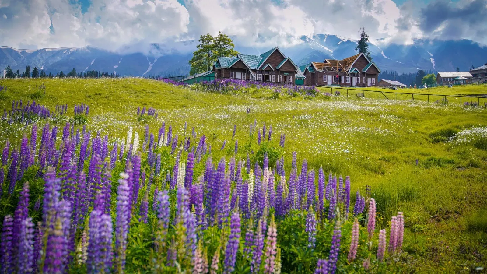 Monsoon Season , Gulmarg