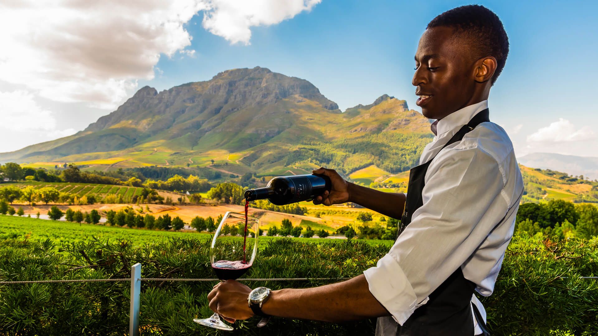 Wine Tasting in the Cape Winelands