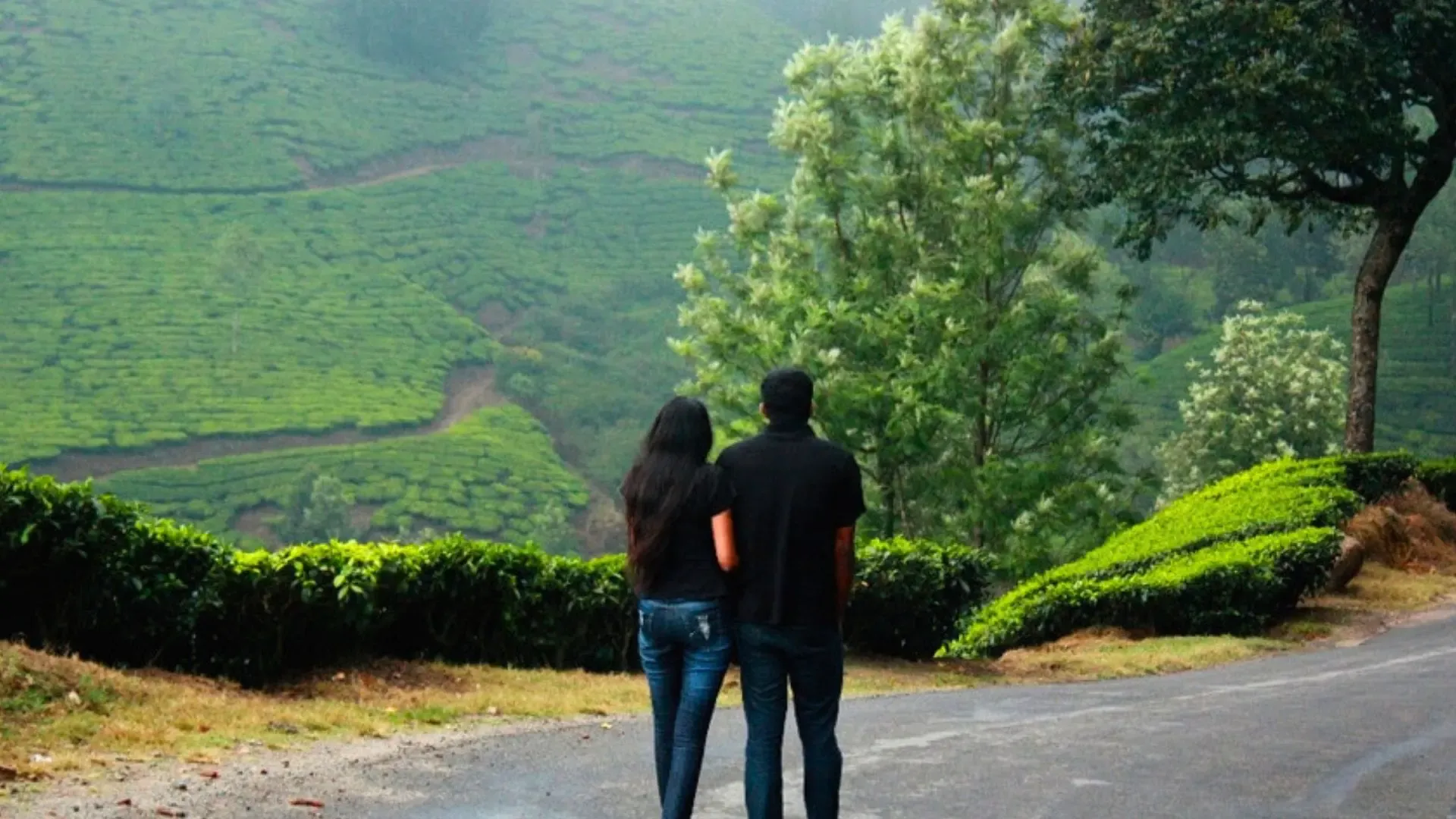 Kerala-honeymoon-munnar.webp