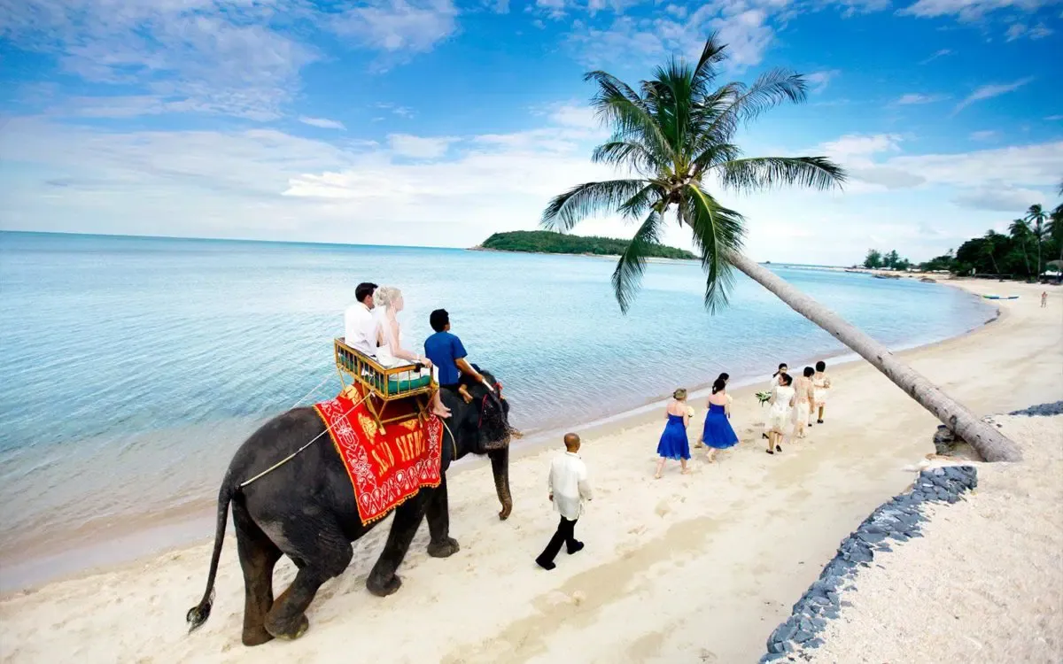 Koh-Samui_Thailand.webp
