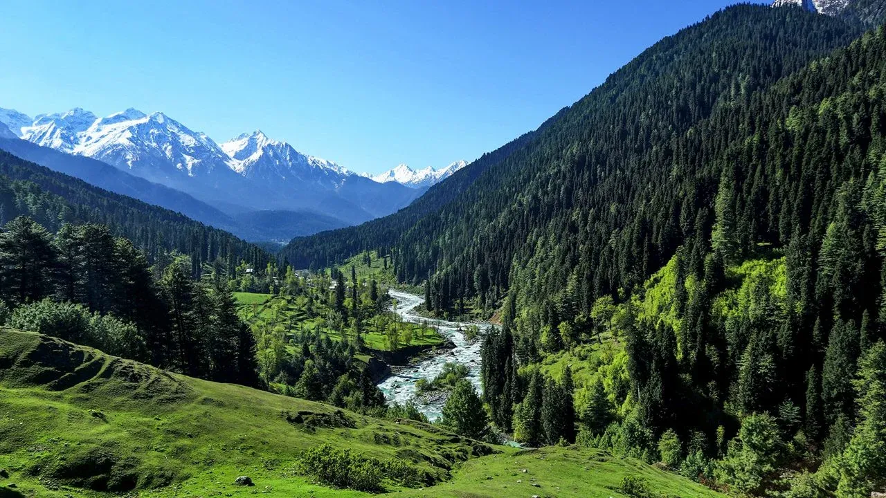 Pahalgam – Valleys, Rivers and Pine Forests.webp
