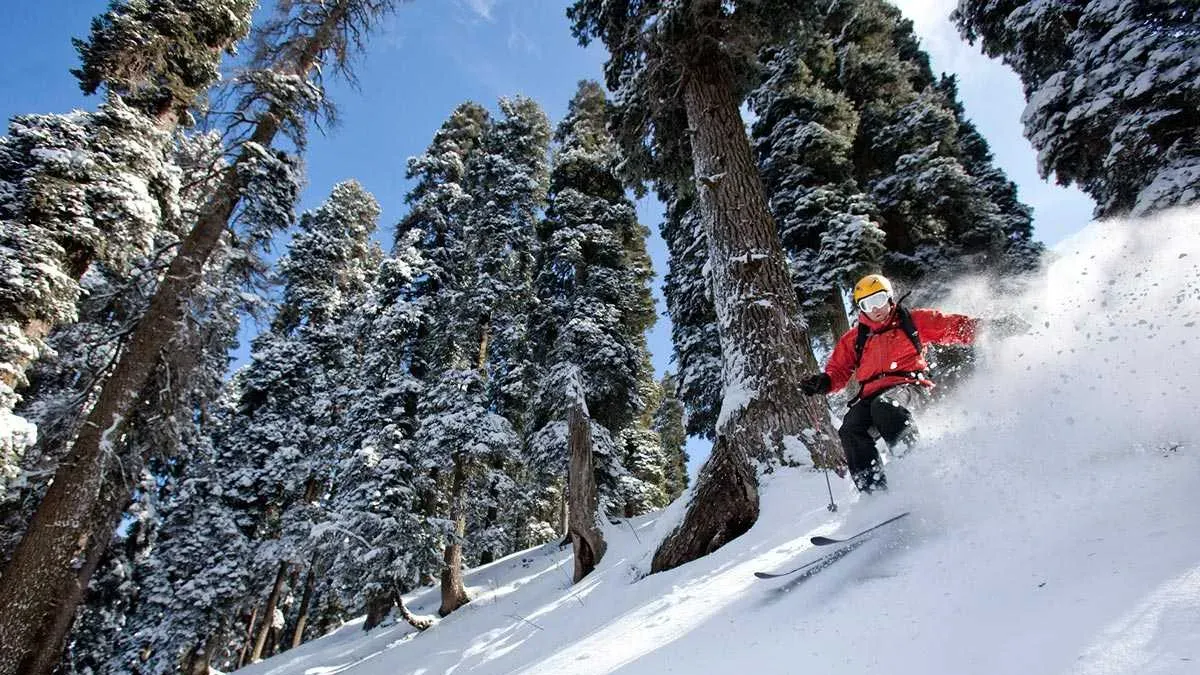 Travel Tips for Gulmarg