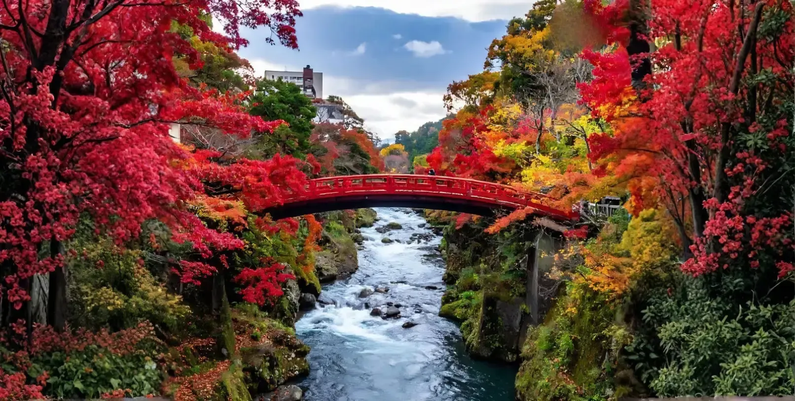 Take a Day Trip to Nikko in 2026.webp
