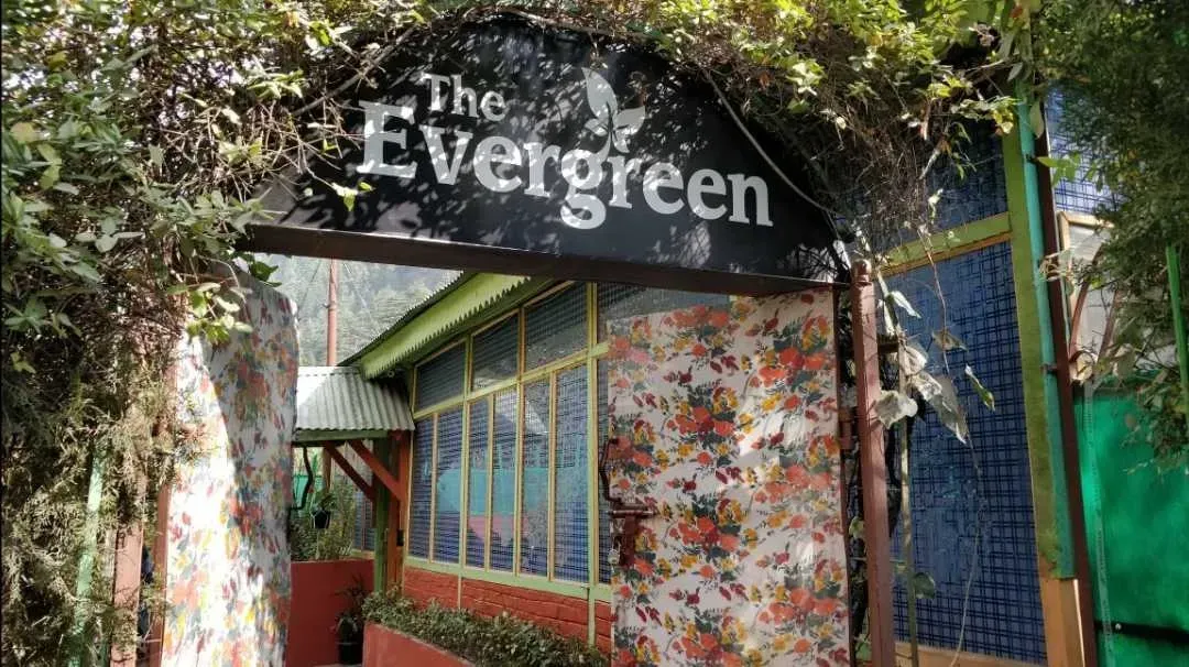 The Evergreen Cafe