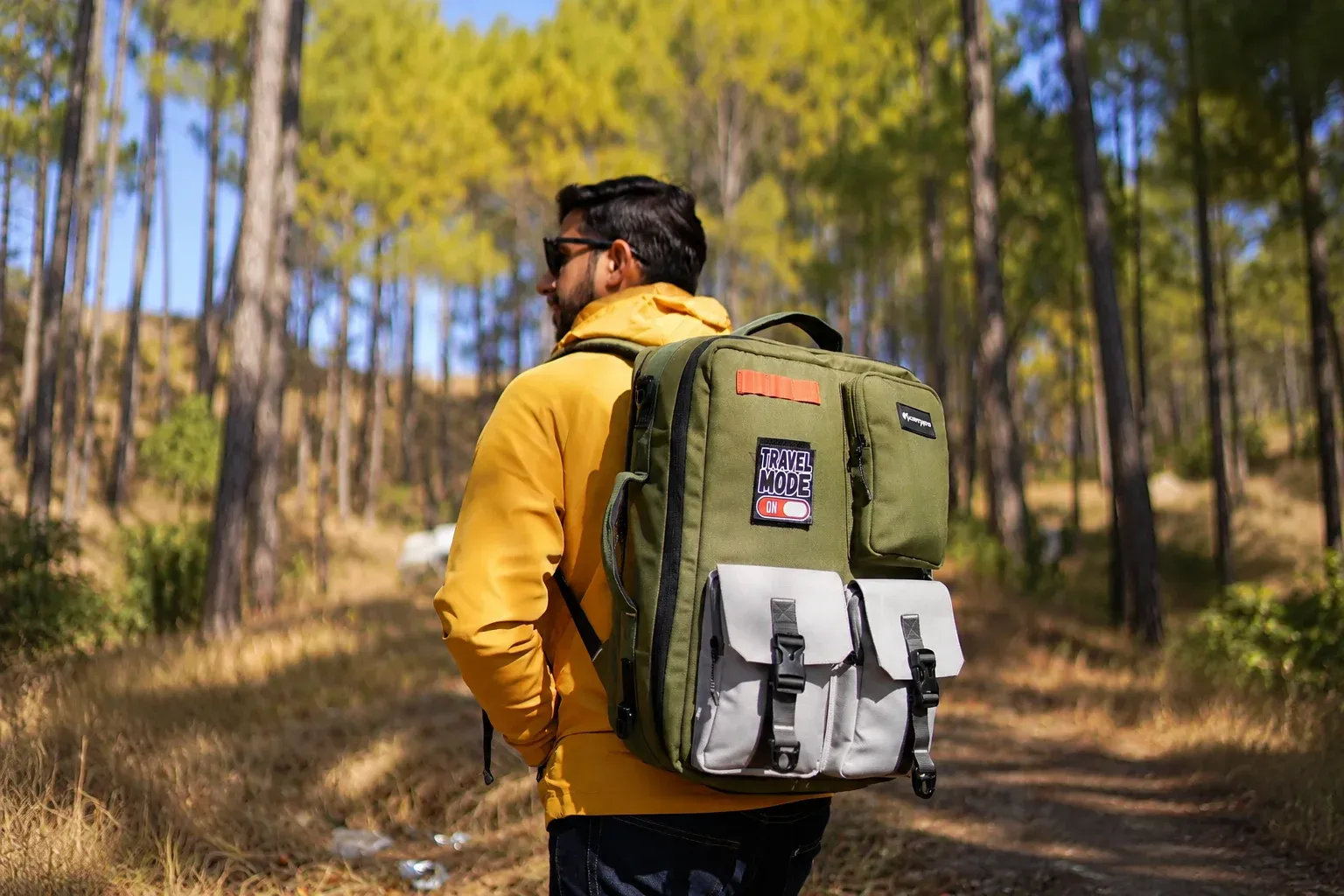 Traveller in a Sunlit Woodland.webp