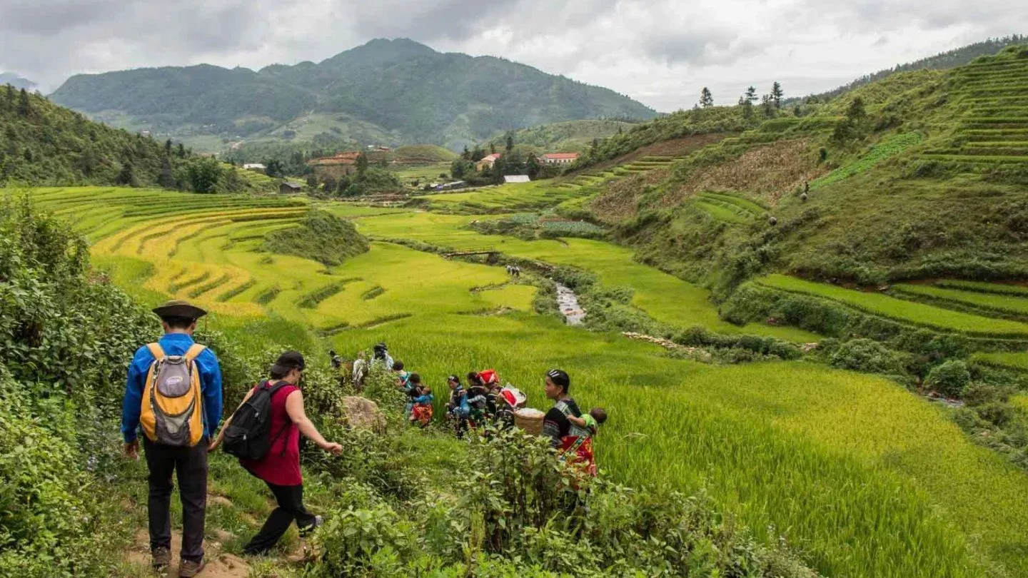Trekking in Sapa and Northern Vietnam.webp