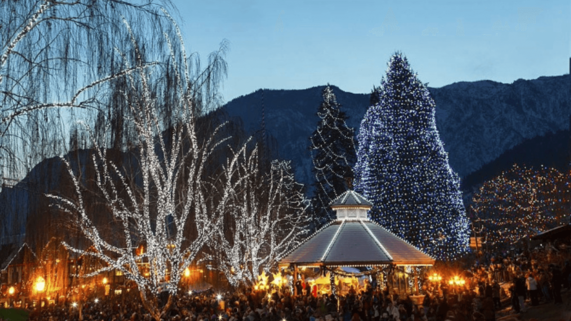 Untitled design (17).png