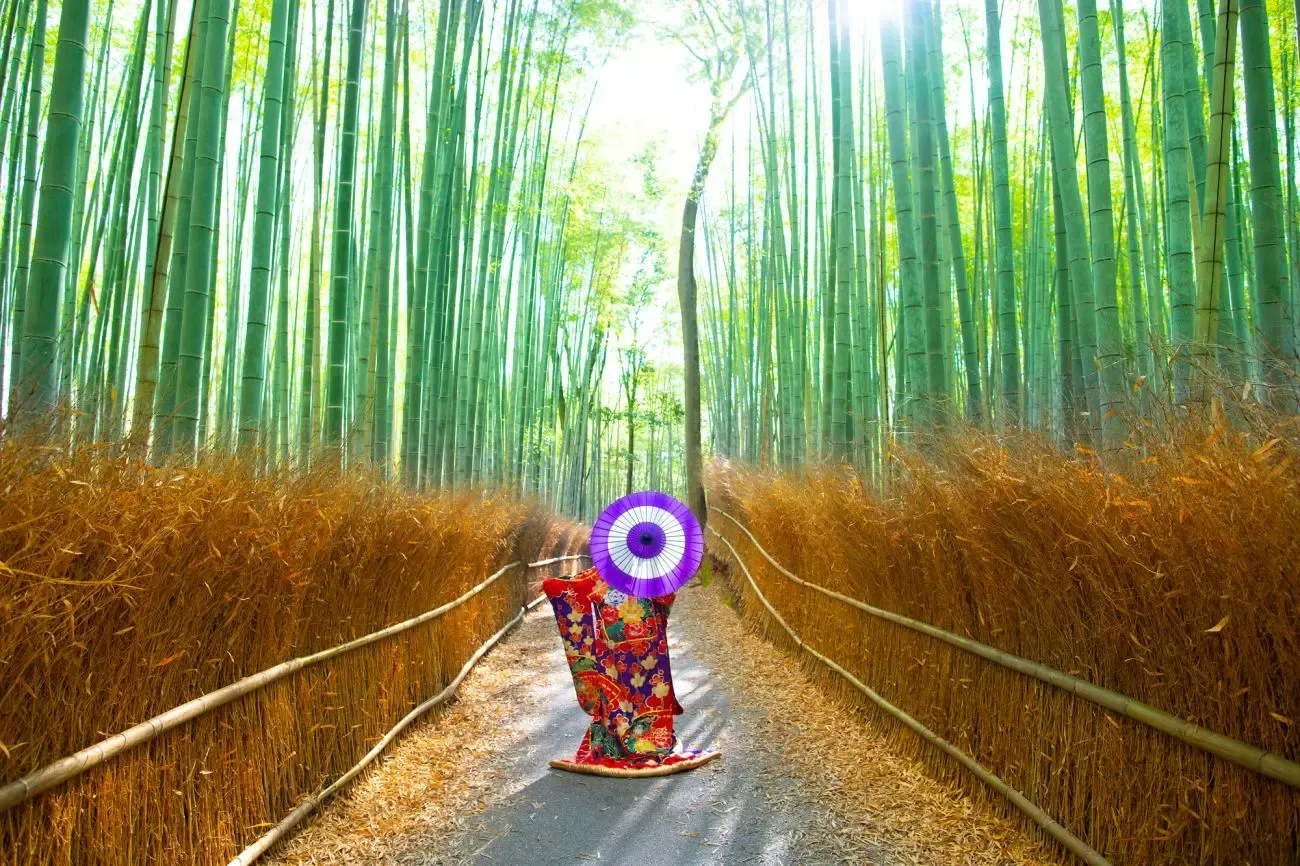Visit Arashiyama in Kyoto in 2026.webp