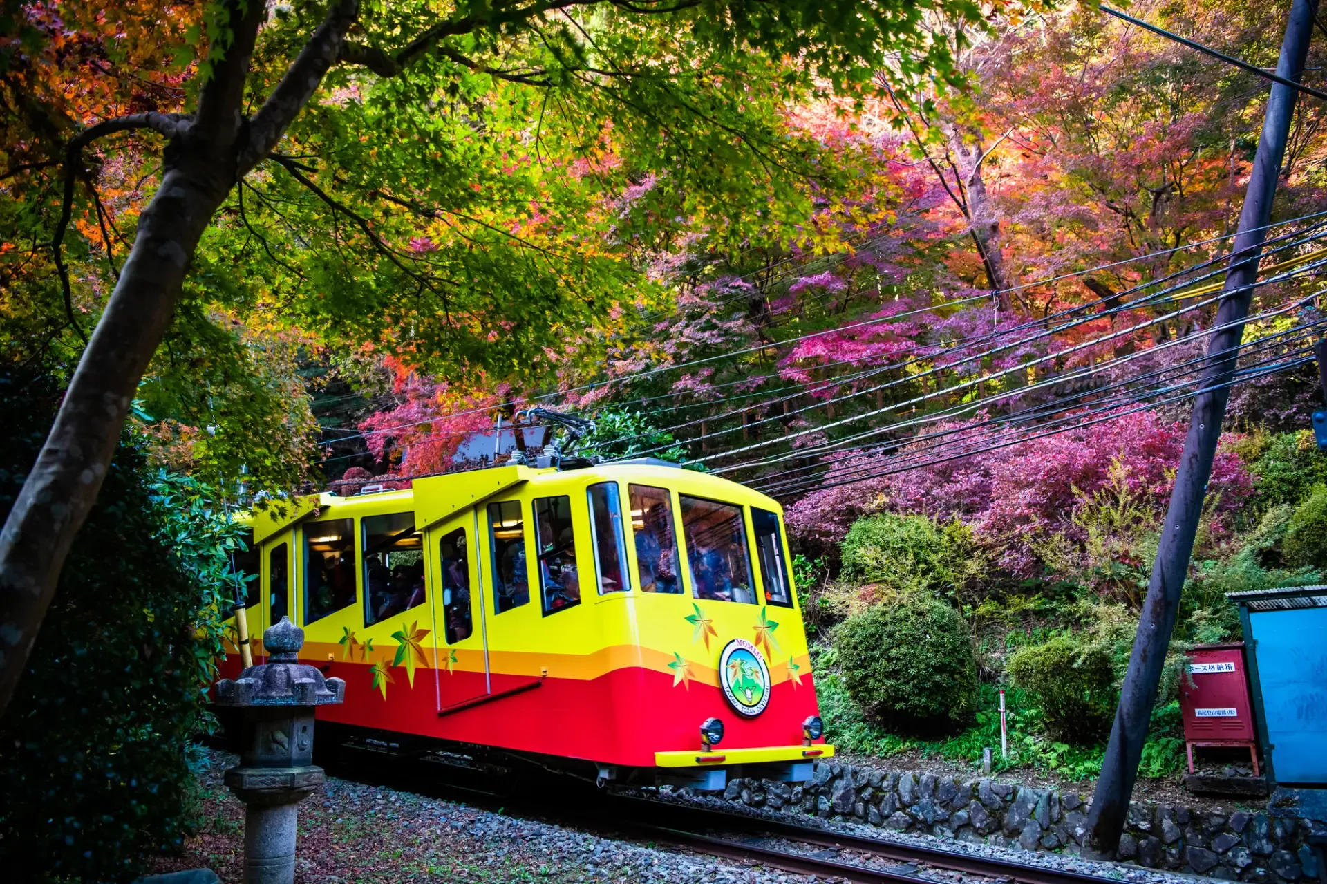 Visit Mount Takao from Tokyo.webp