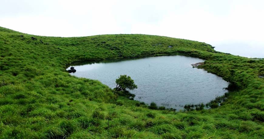 Wayanad