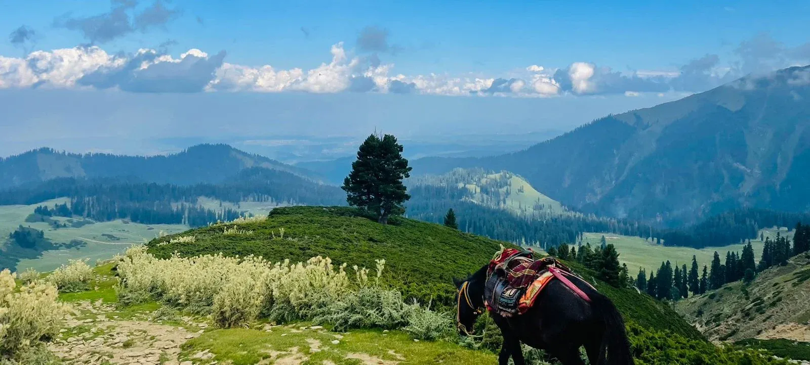 Yusmarg – Scenic Meadows and Forest Walks.webp