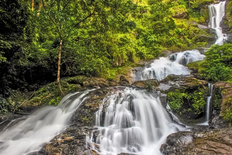 Go Birding at Pushpagiri Wildlife Sanctuary