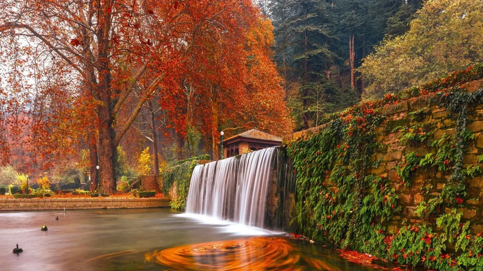 Autumn Season, gulmarg