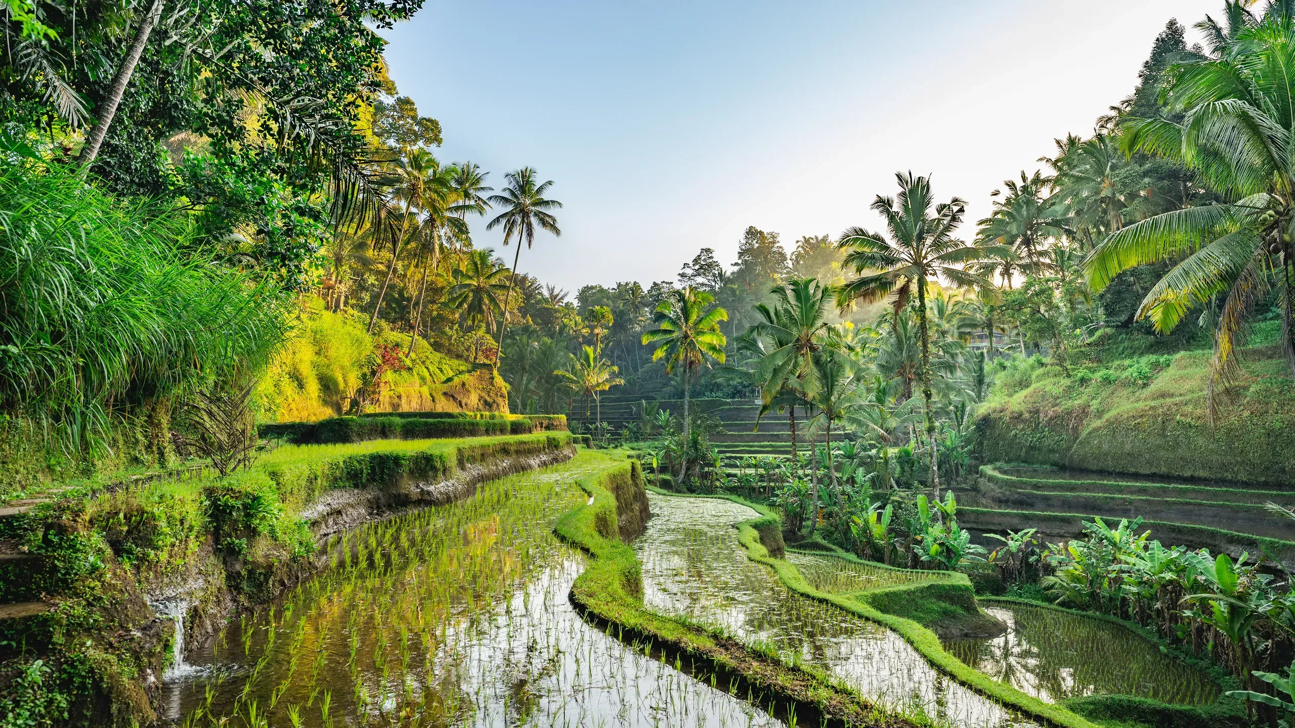 Bali Time Guide 2026: Best Time to Visit Bali for Weather, Beaches & Festivals
