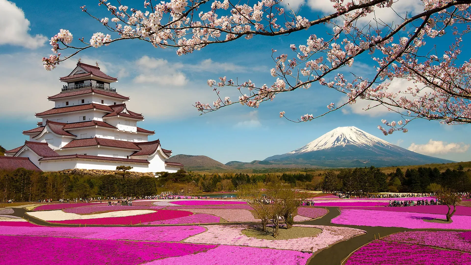 The Coolest Countries to Visit in 2026 for Culture, Food & Adventure