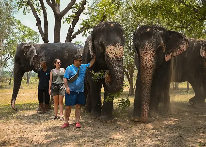 Is South Africa Worth Visiting in 2026?