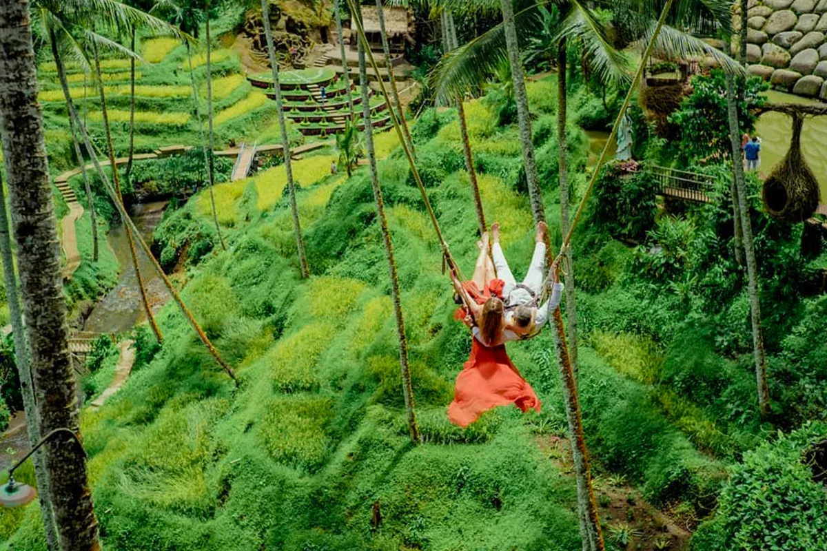  Bali Swing & Jungle Views in Ubud