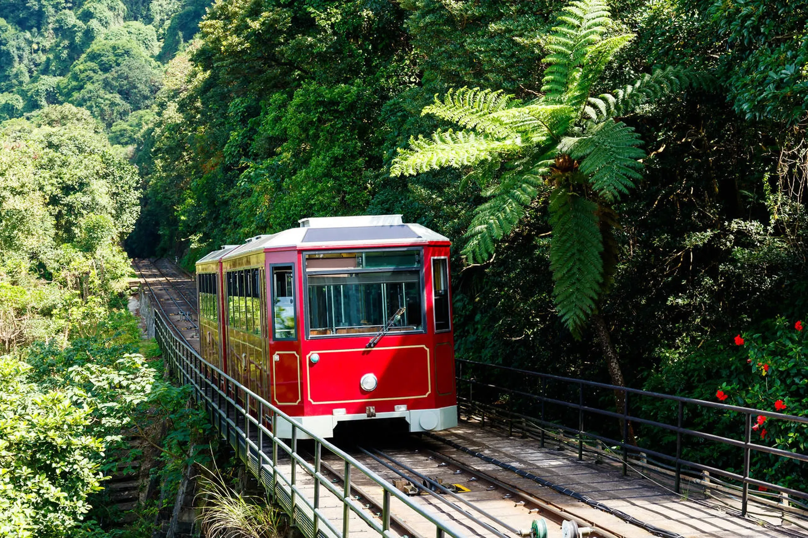Ride the Peak Tram to Victoria Peak in 2026