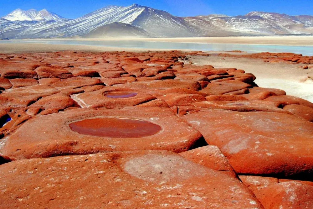 Piedras Rojas (Red Rocks & Altiplano Lagoons)