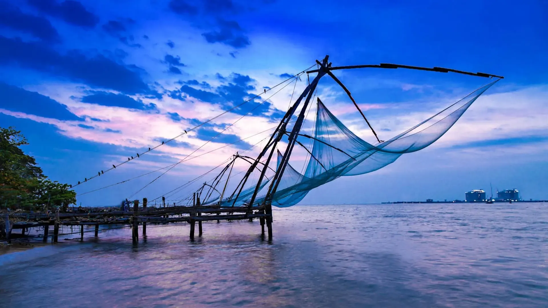 places-to-visit-in-kochi.webp